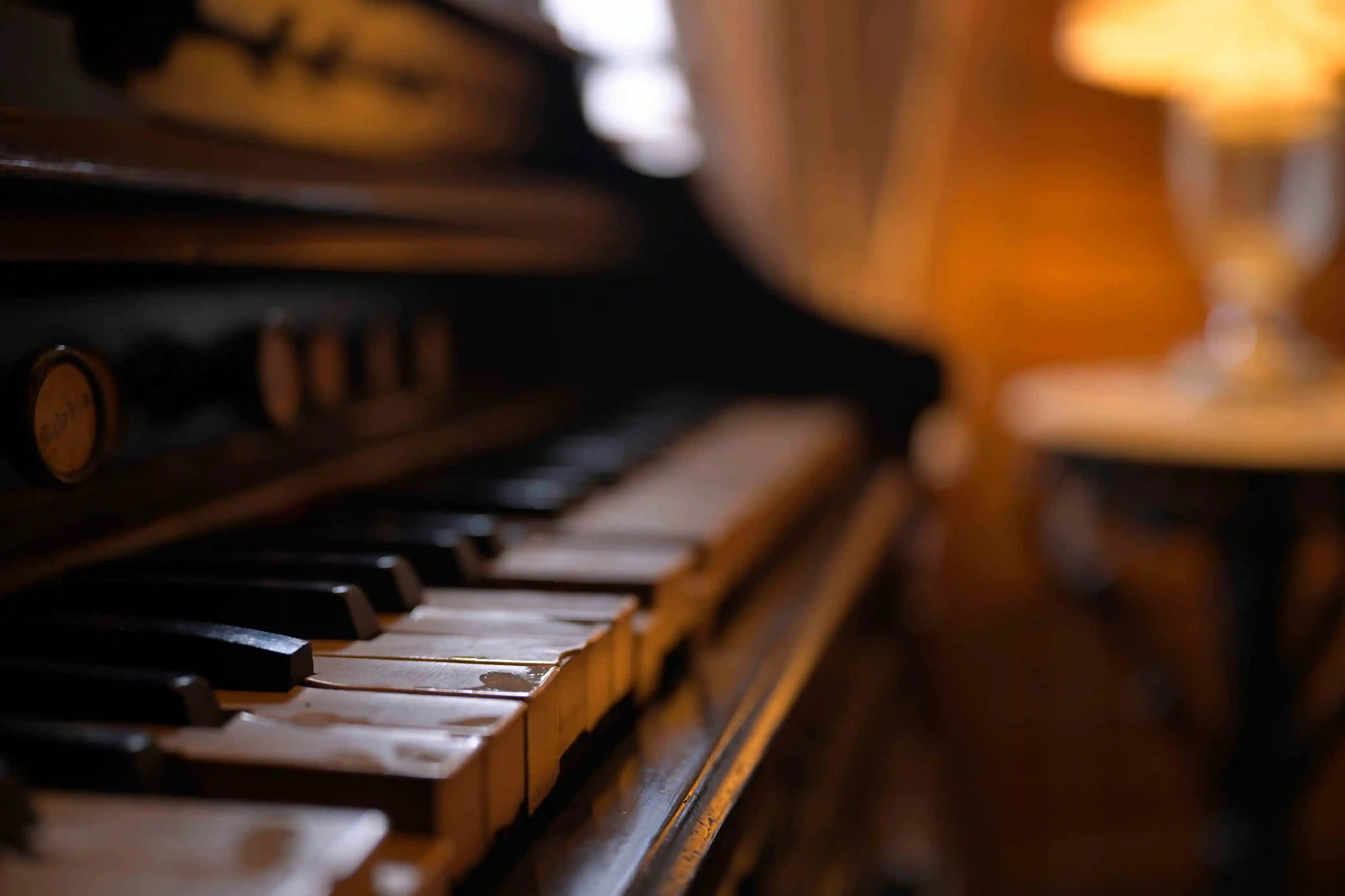 Conservation at Bari Kothi